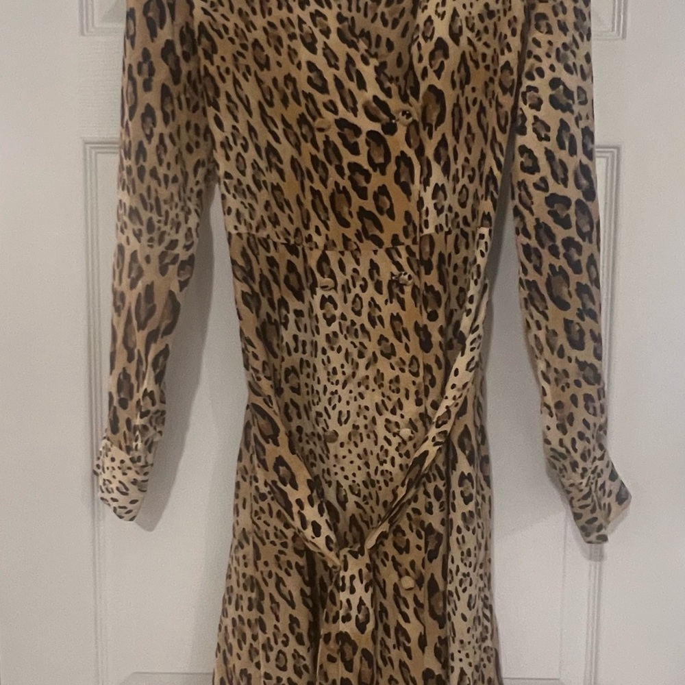 FRAME Leopard Print Silk Dress